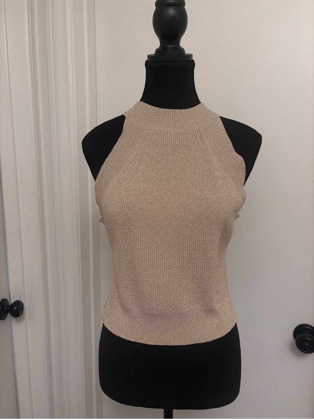 Aritzia Wilfred Sleeveless Metallic Knit Top in Beige